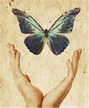 with-forgiveness-butterfly.jpg
